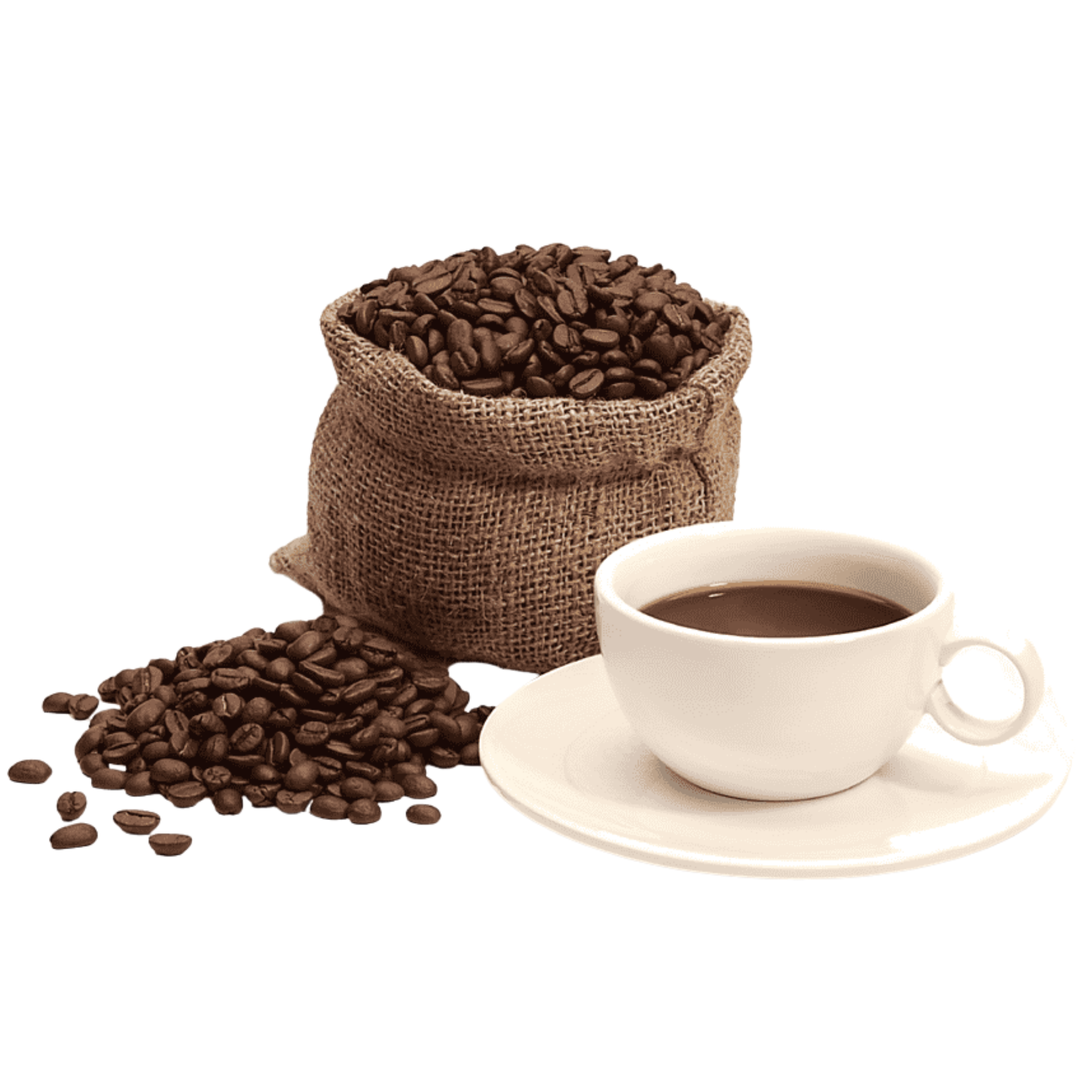 Bazra Coffee Identity